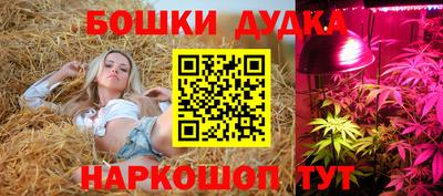 PSILOCYBIN Будённовск