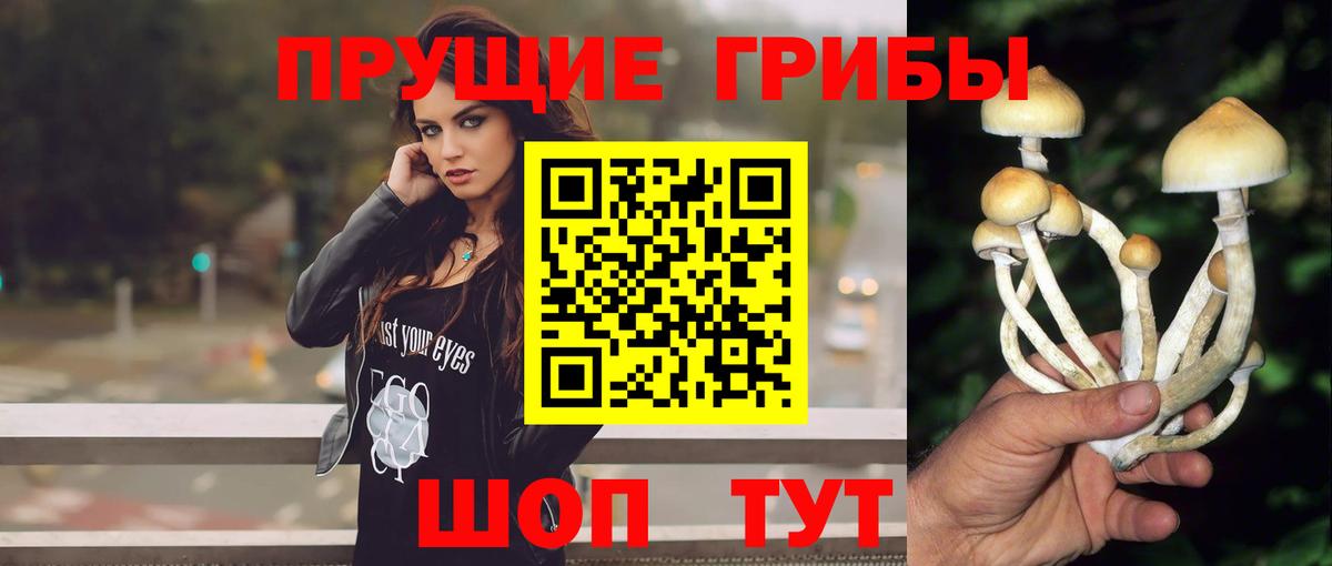 Симферополь  Псилоцибиновые грибы Psilocybine cubensis  Вход с VPN  Псилоцибиновые грибы GOLDEN TEACHER 